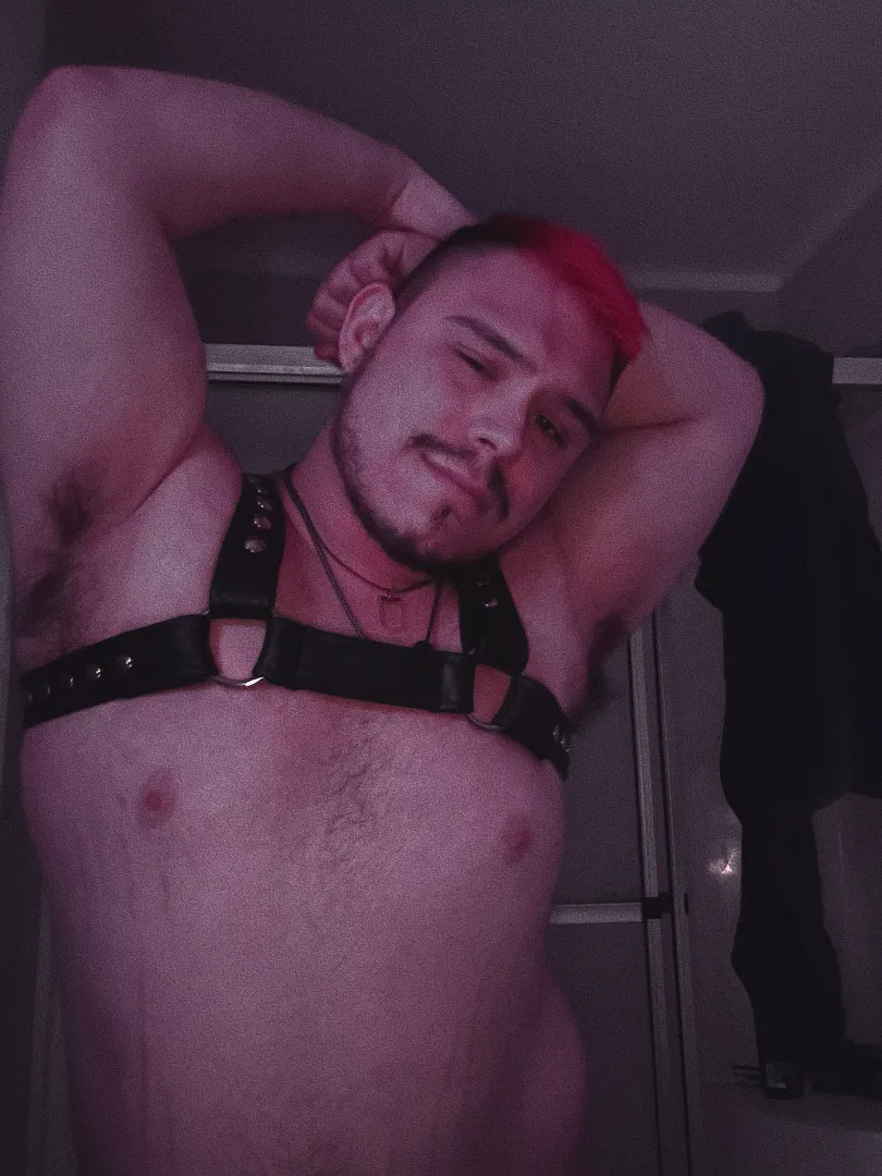 Guess I’ve just been feeling lonely lately posted by Dumb_male