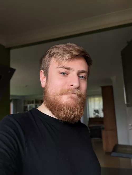 Happy Easter to those who celebrate! Happy Sunday to those who don't! by direbearrawr