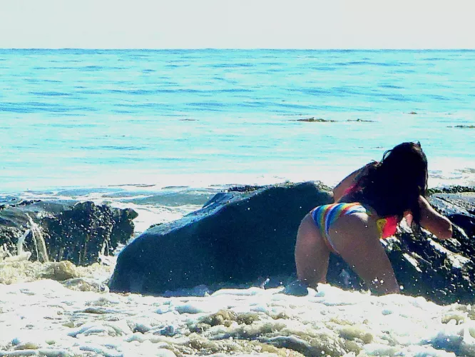 Having fun at the beach by Vikfox23