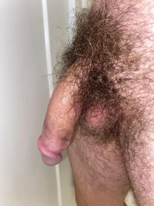 Help me make it hard, lets stroke and nut bros by deezhairynuts43