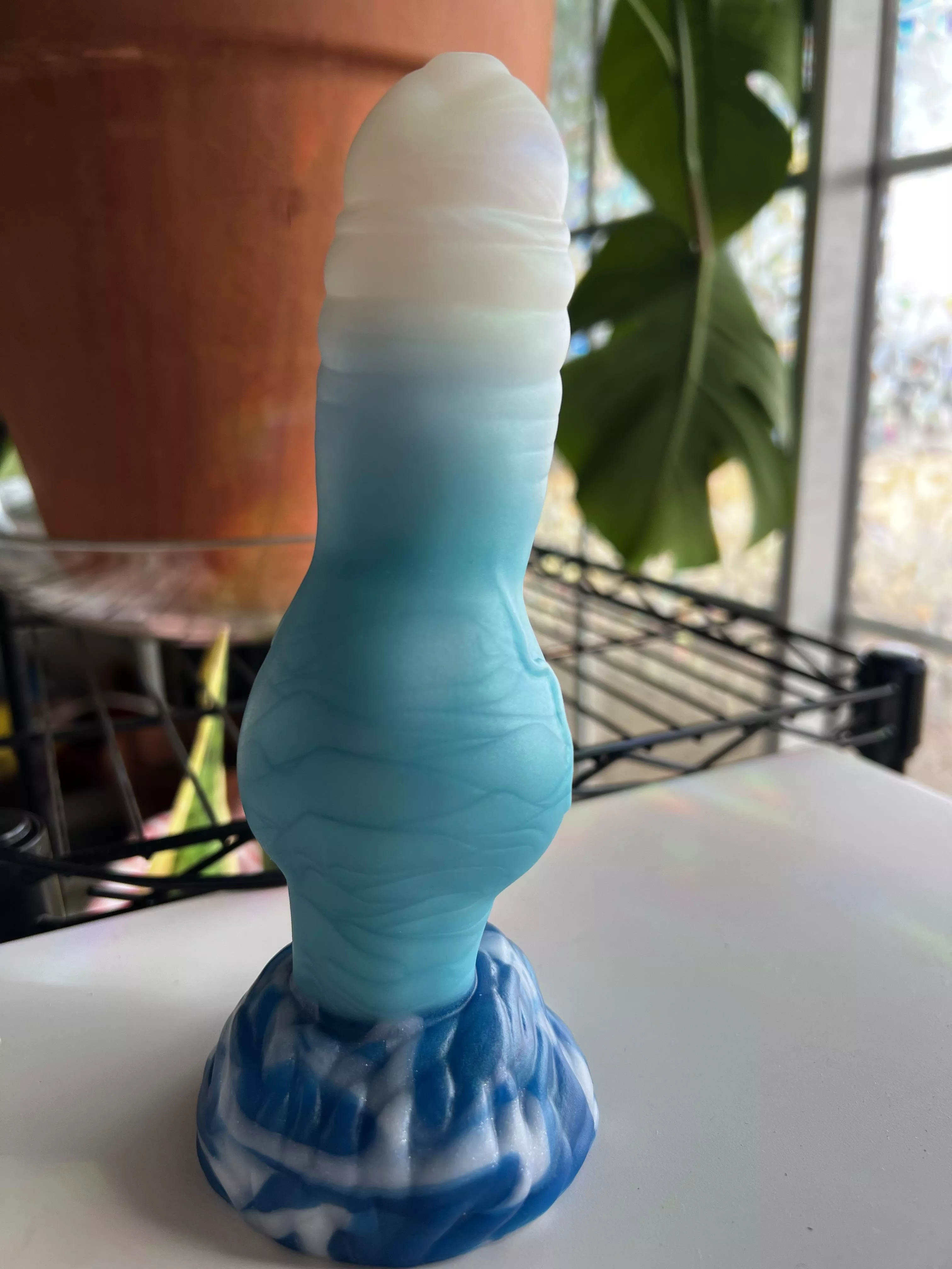 He’s here!! Makes my bd toy count 12 posted by plntsthings