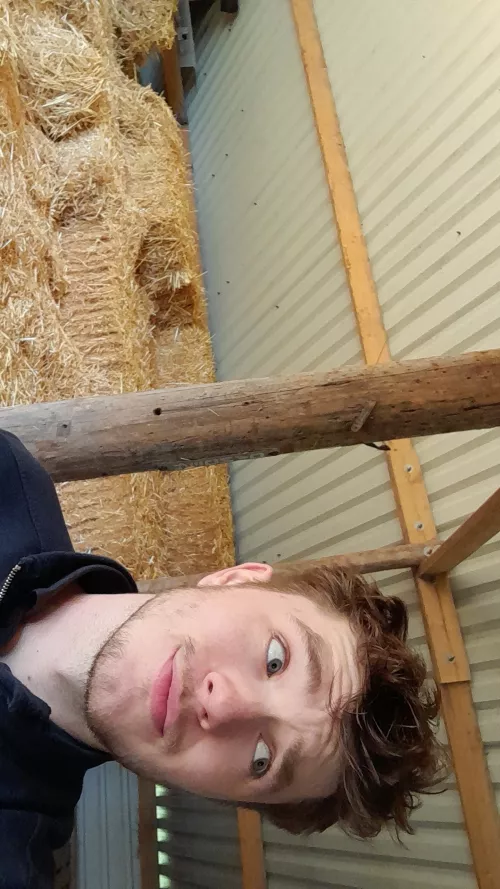 Hiding from all the people on the farm so I can blast music 😆 by BrbMakingACuppaT