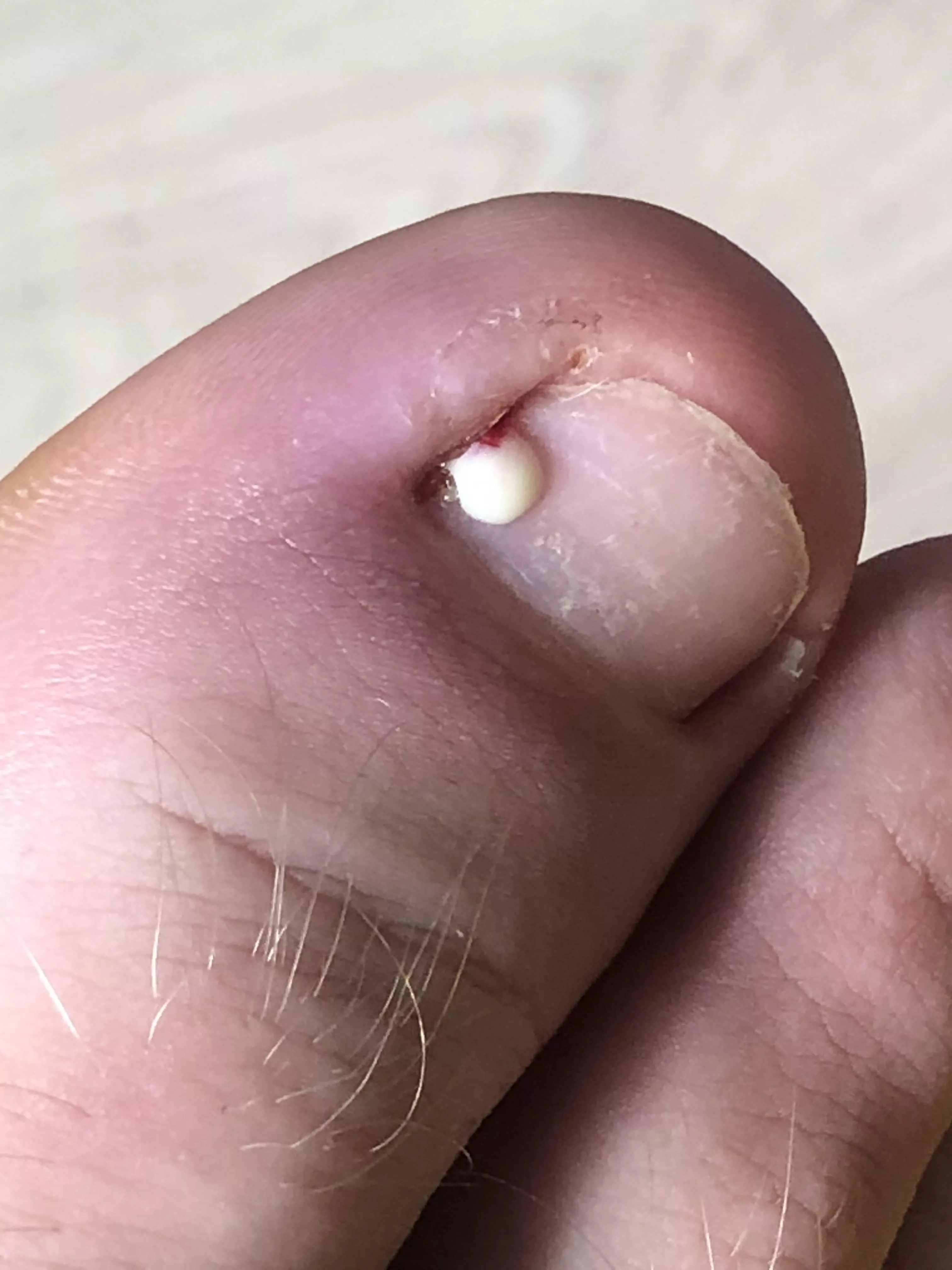 It popped super fast I didnt expect it posted by GlueBuddha