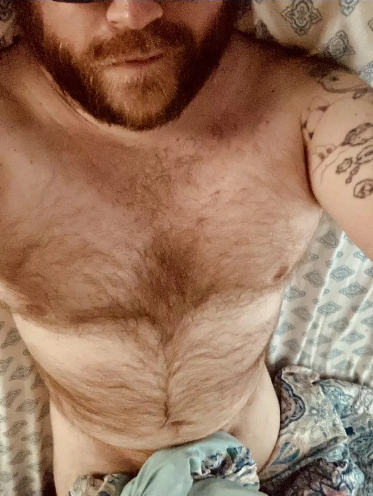 It’s been a rainy afternoon, so join me in bed? posted by Slibberingdingle