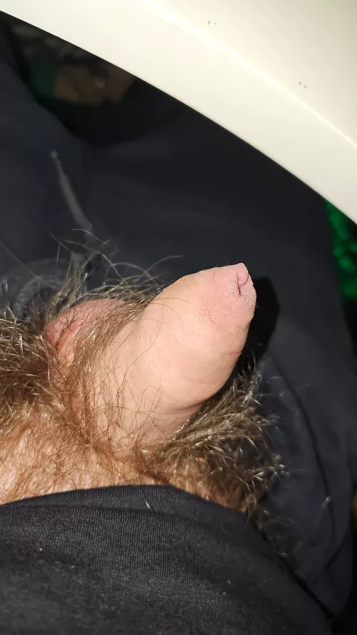 Like what you see? 20m by Geiler_Hund20