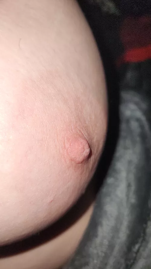 Loving the attention and waiting for some pics to make them harder 👅 by Remarkable-Bid-6942