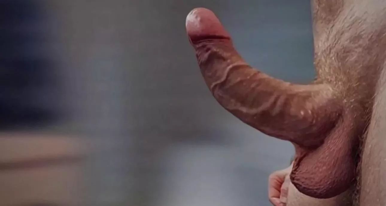 Might cum in you, who knows🤷🏻‍♂️ posted by tommll