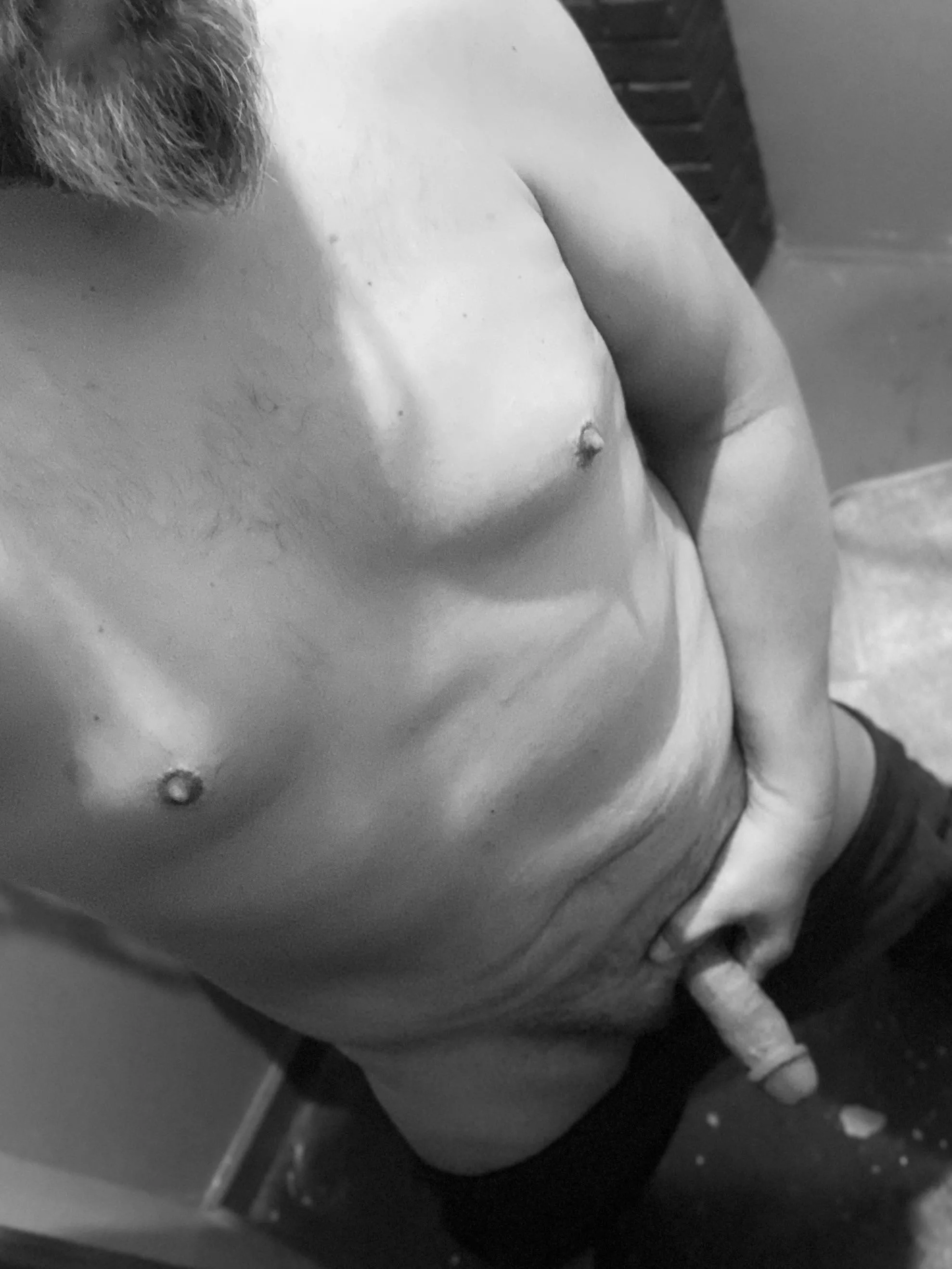 Taste Testers? posted by curveseeker5