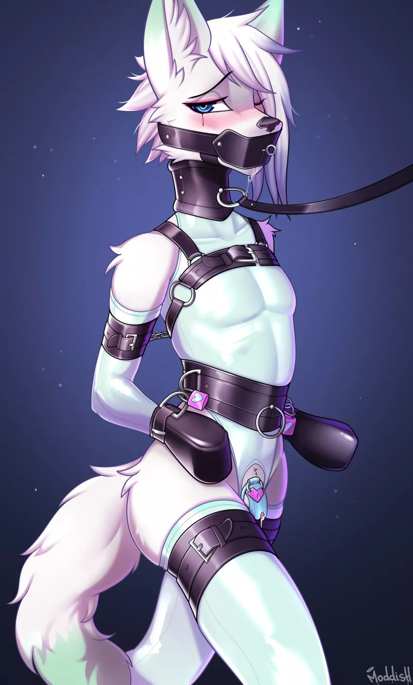 The correct way and clothes for a slut (Moddish) posted by Femboy_Chastity_slut