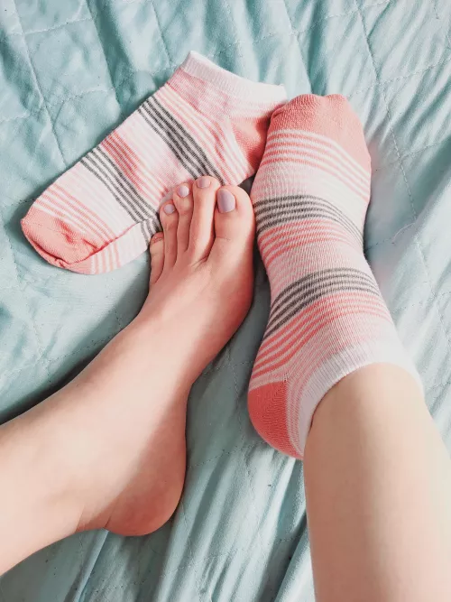 They may seem cute, but they're wild beasts. by SexyFootie