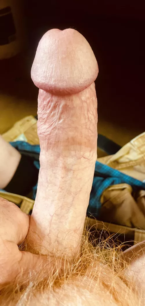 Thoughts on my 7” ? by Relevant_Junket6404