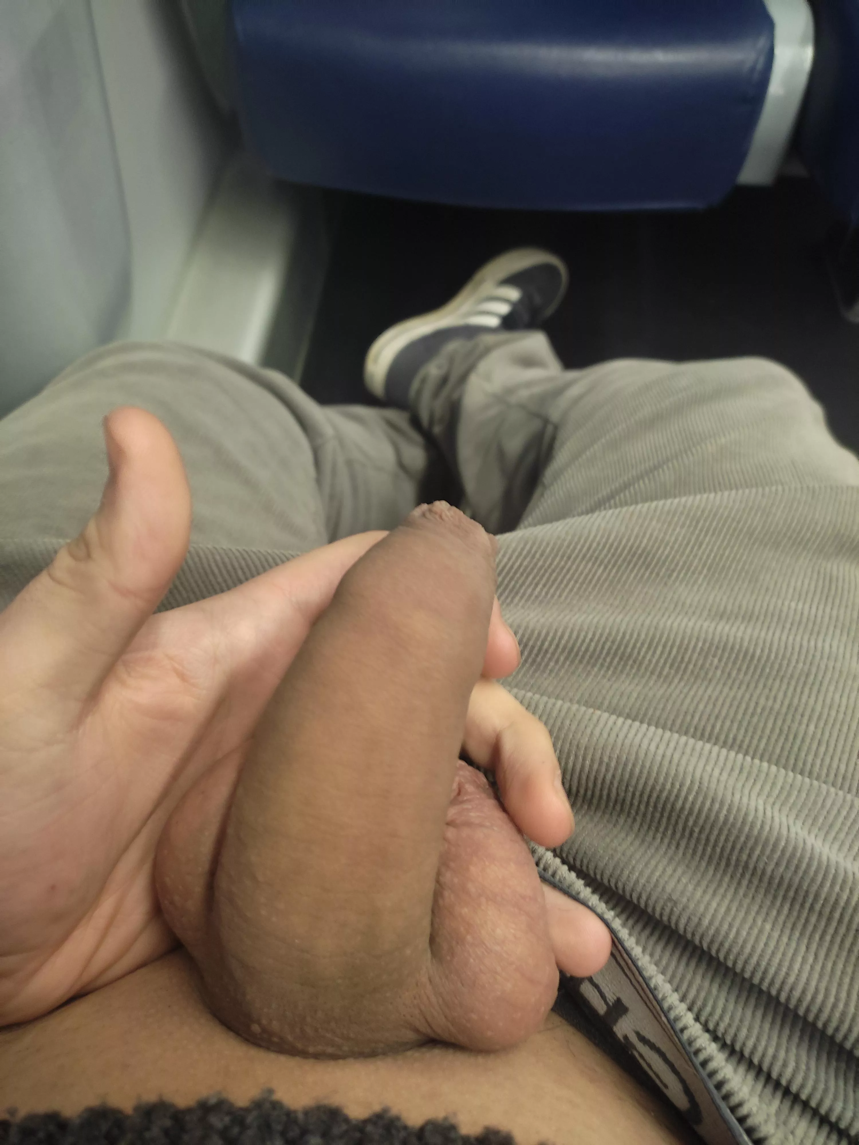 19 Softie in the train 🤭 posted by PietroSmusi998