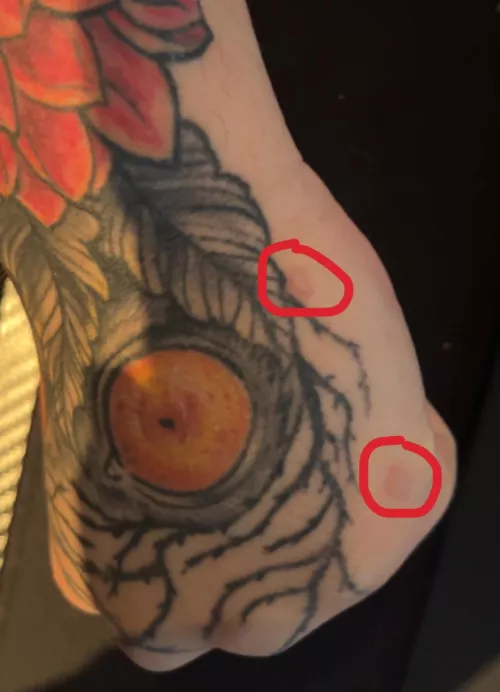 350F bacon grease makes forbidden pops by Lucky7RIPs