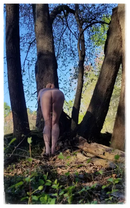 A little Game of Hide and Seek by manwithacamera2