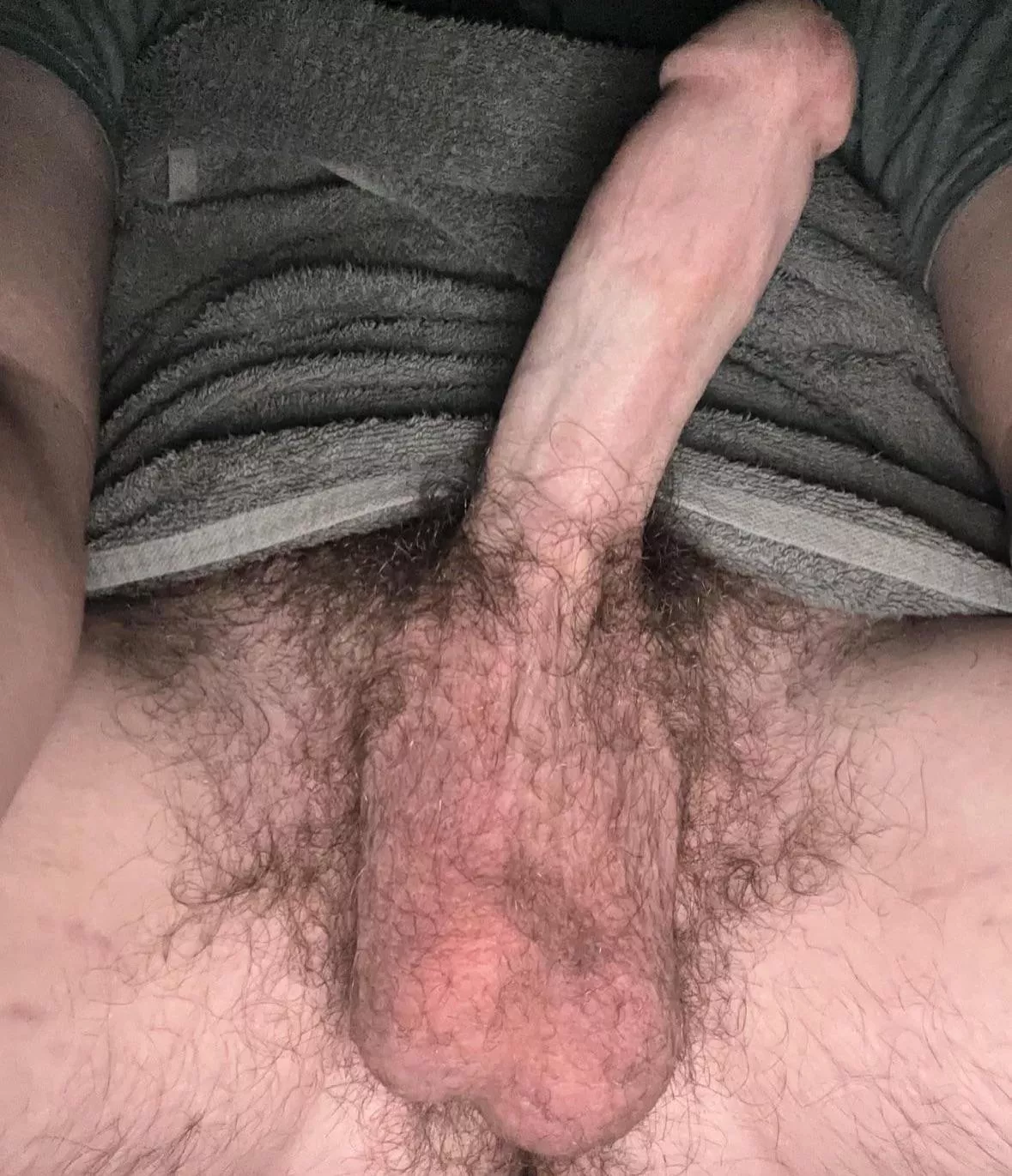 Barley 18 posted by LittleAsh00