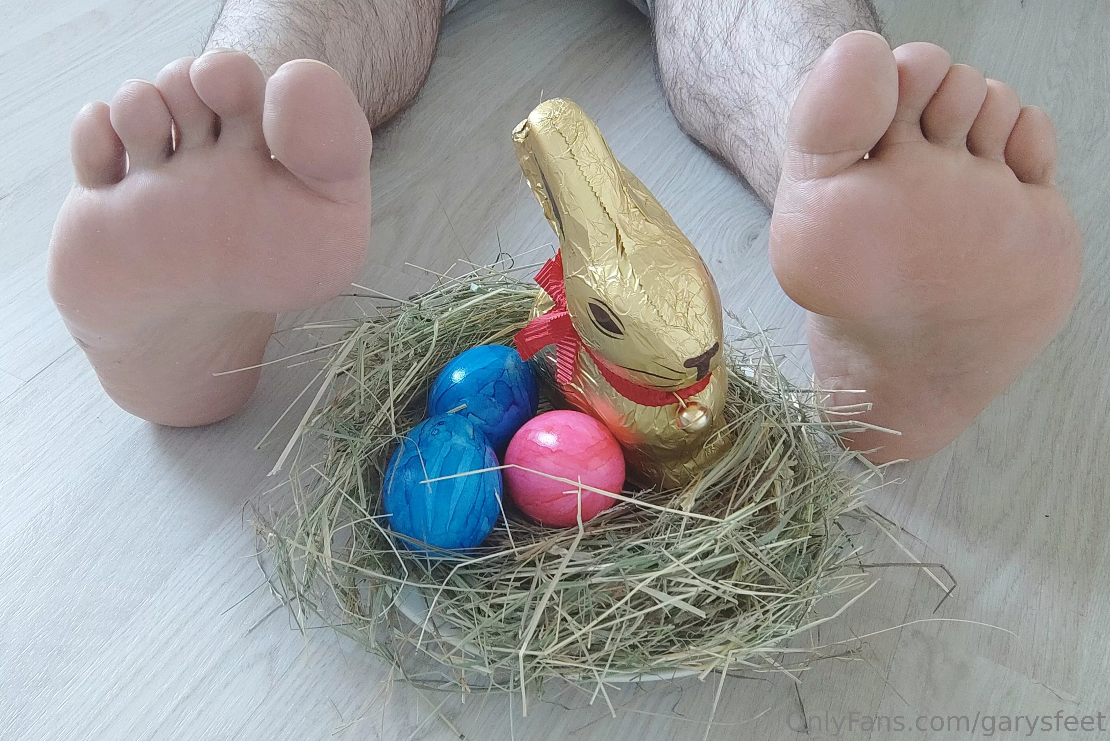 Bunny 🐰 eggs 🥚 and feet 👣 [OC] posted by GarysFeet