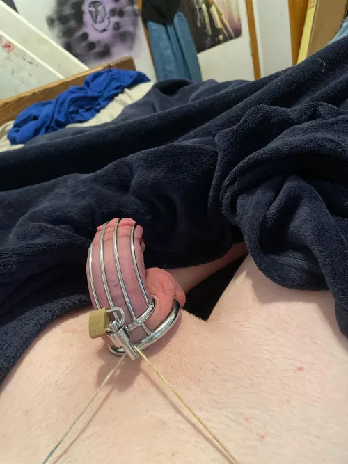 Day 2 of perminant chastity!!! by Femboy420slut1589