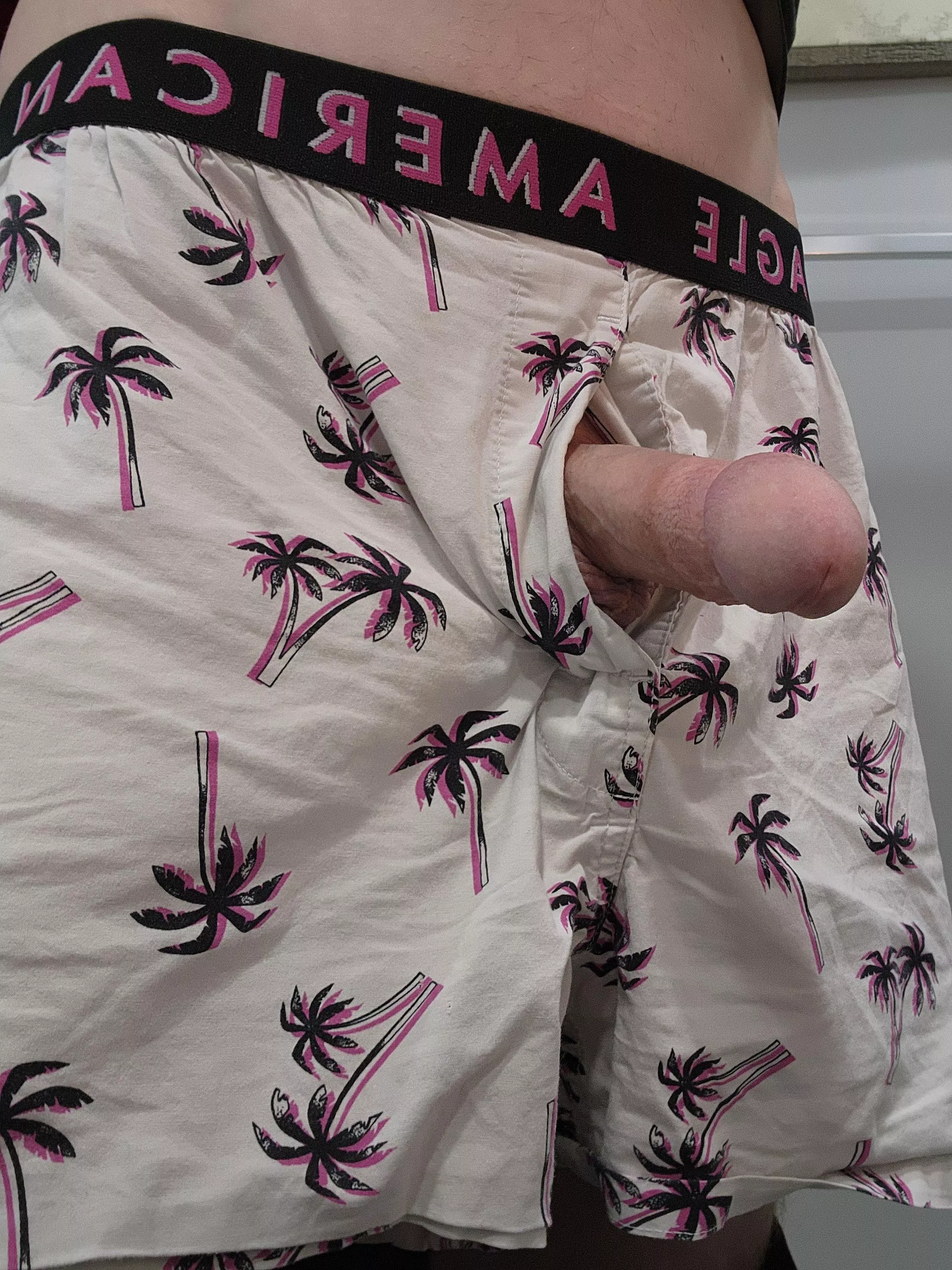 Hanging out posted by Surfcruzer01