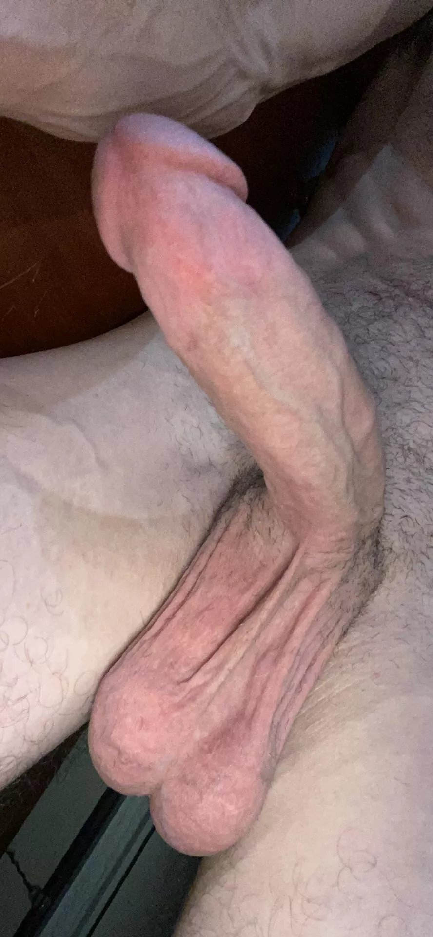 Happy Easter everyone! posted by roguefour20