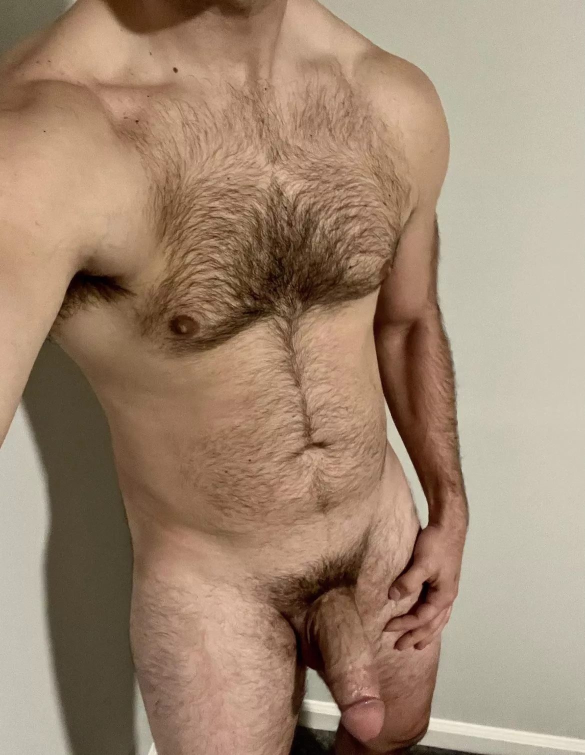 Happy Monday - Let’s Make it a Funday posted by Avocados4Moi