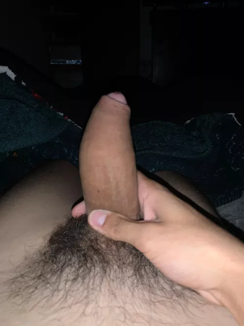 How does my softie look? by Unlucky_Estimate_590