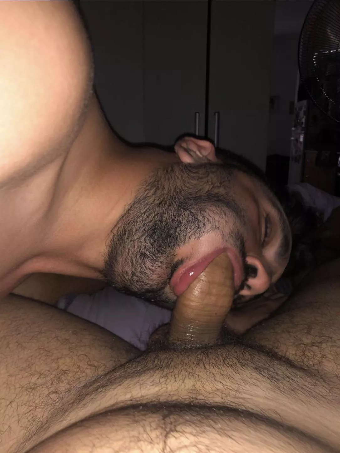 I eat my bf’s cock posted by Morborosfree