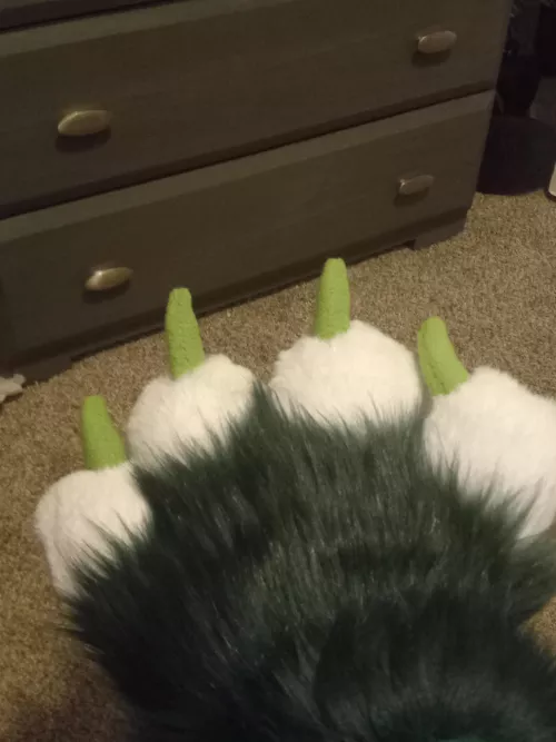 Just from my paw how cute do yall think me is? 🤔 by Minute-Lecture-8351