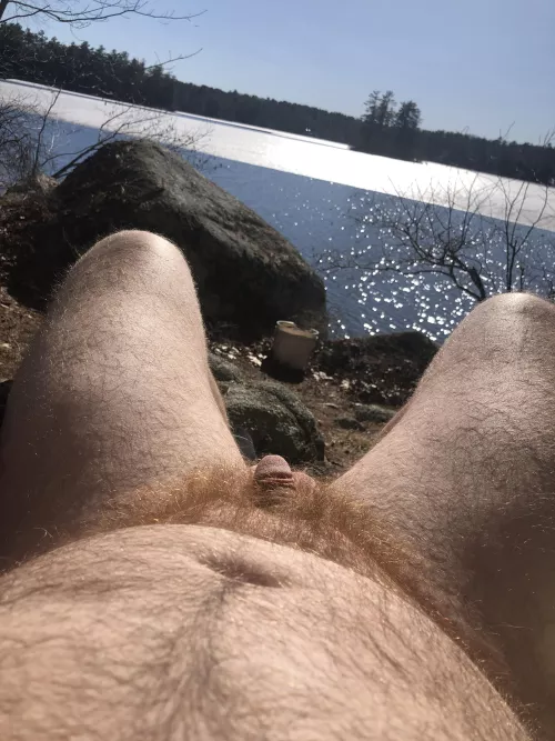 Like my softie in a ginger bush? by Puodakota369