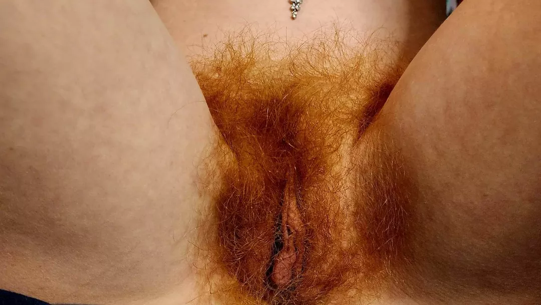 Monday meows posted by ababypinecone