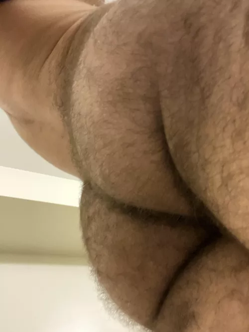 Mr. Tumnus ass by TristanMoreau