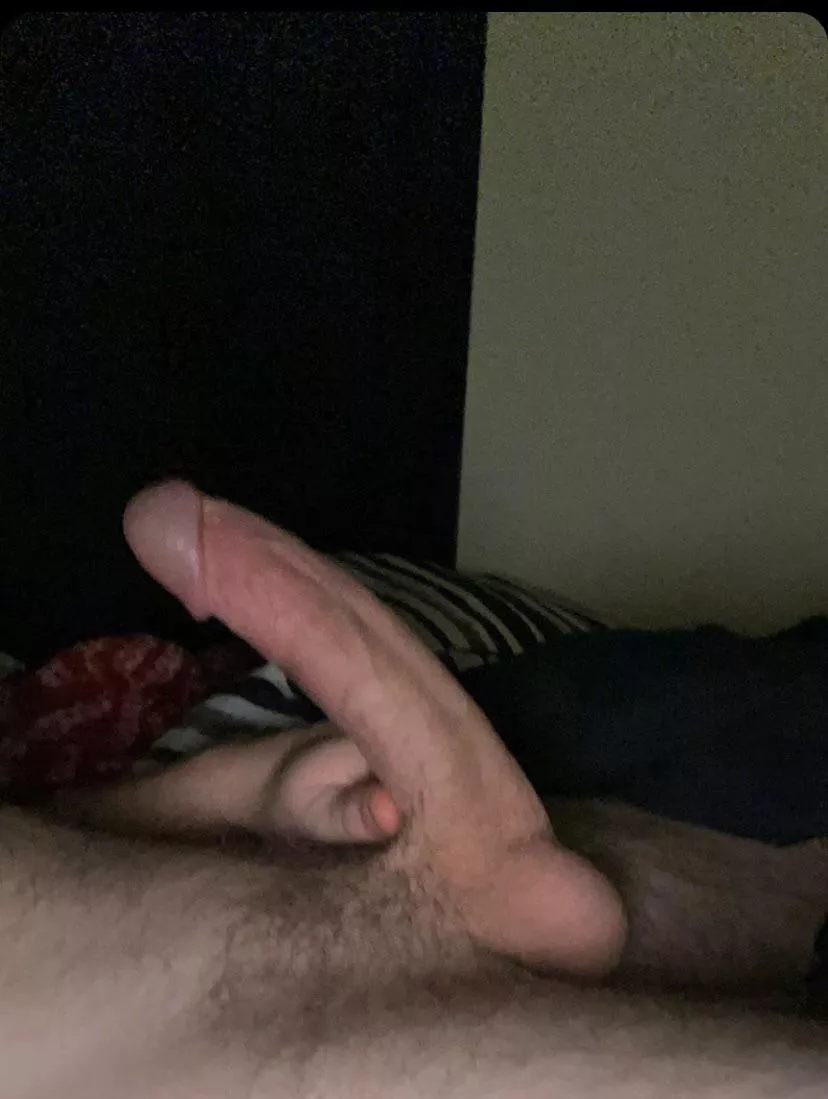 My cock is throbbing! posted by WiltMan1098