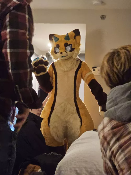 New Fursuit by TolpRomra