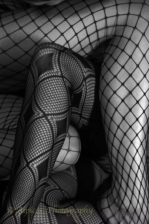 Tangled by modeladventurer