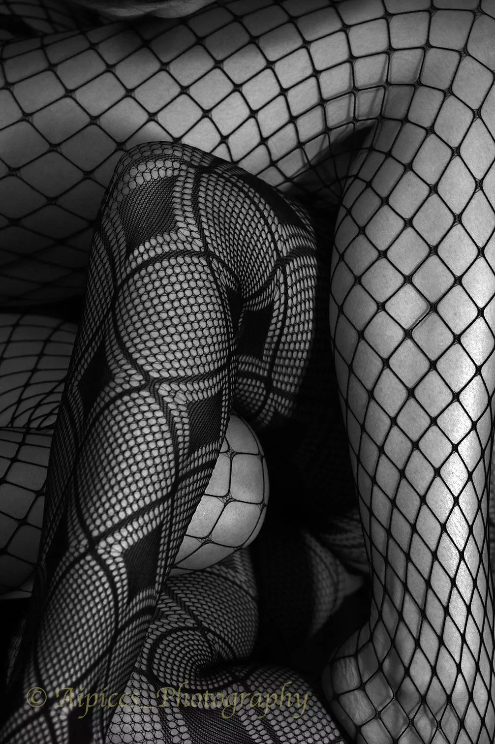 Tangled posted by modeladventurer