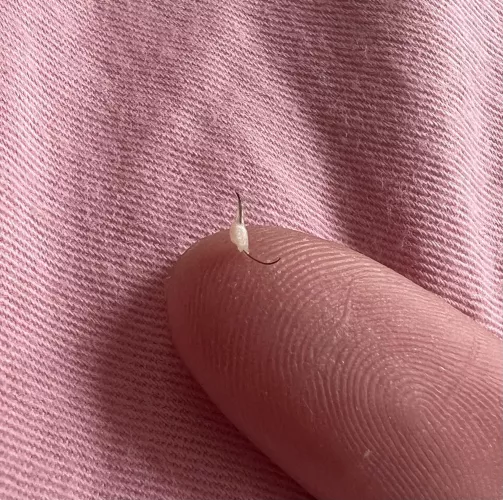 Unfortunately didn’t get the pop on camera because I didn’t realize it’d be juicy but look at this bad boy by razzydazz