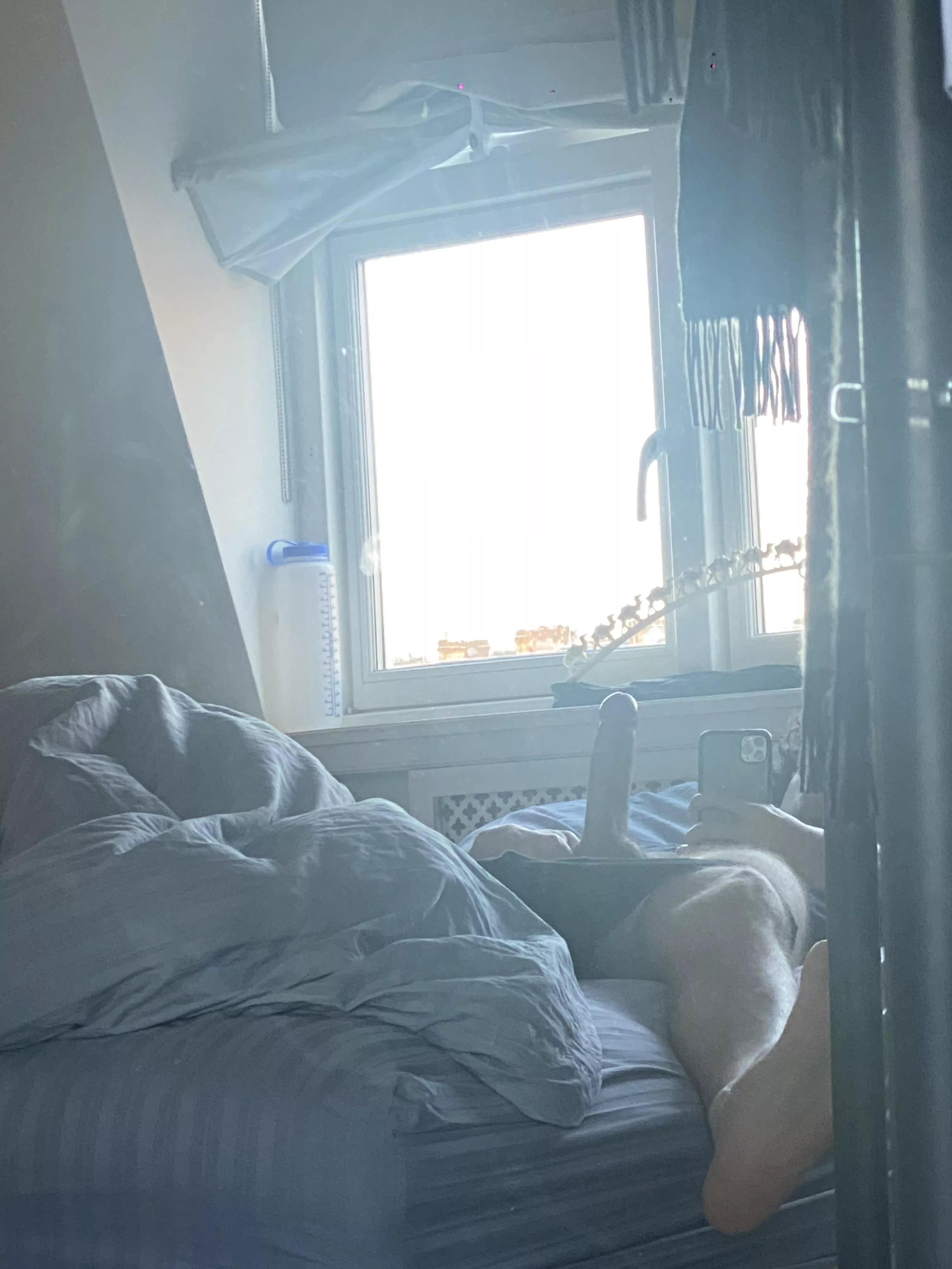 would you play with my morning wood? posted by Electrical-Egg-556