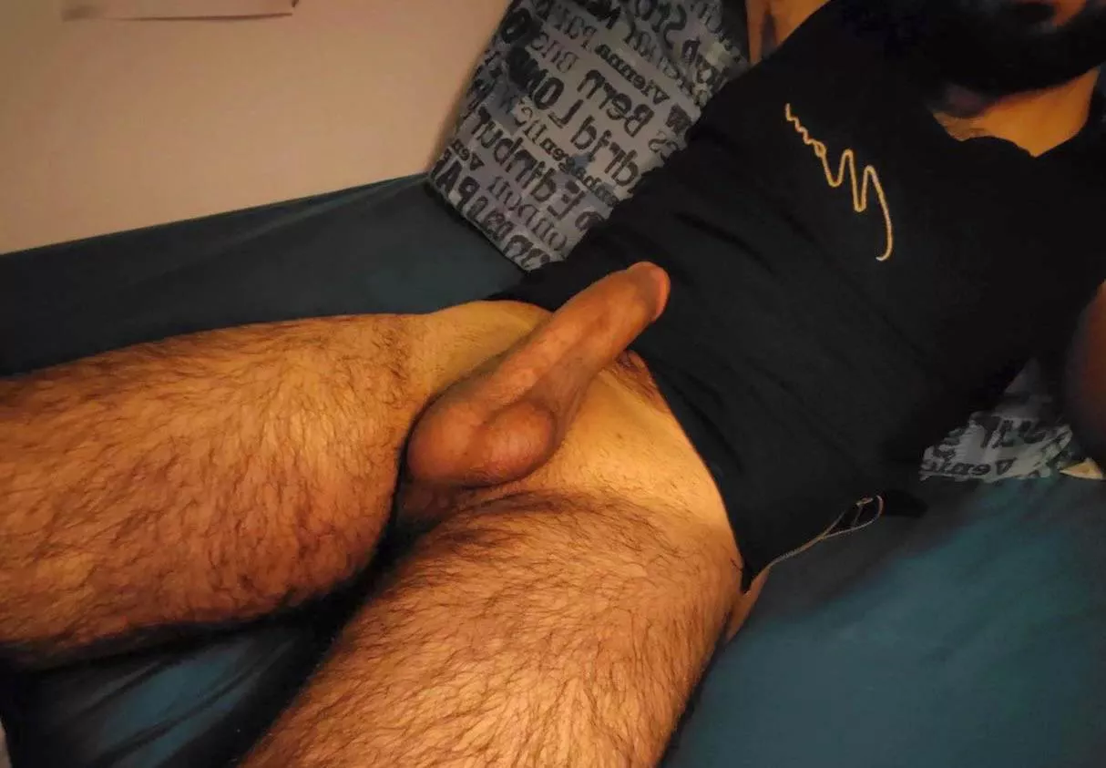 Be honest, who wants to sit on my lap? posted by Brownscot20