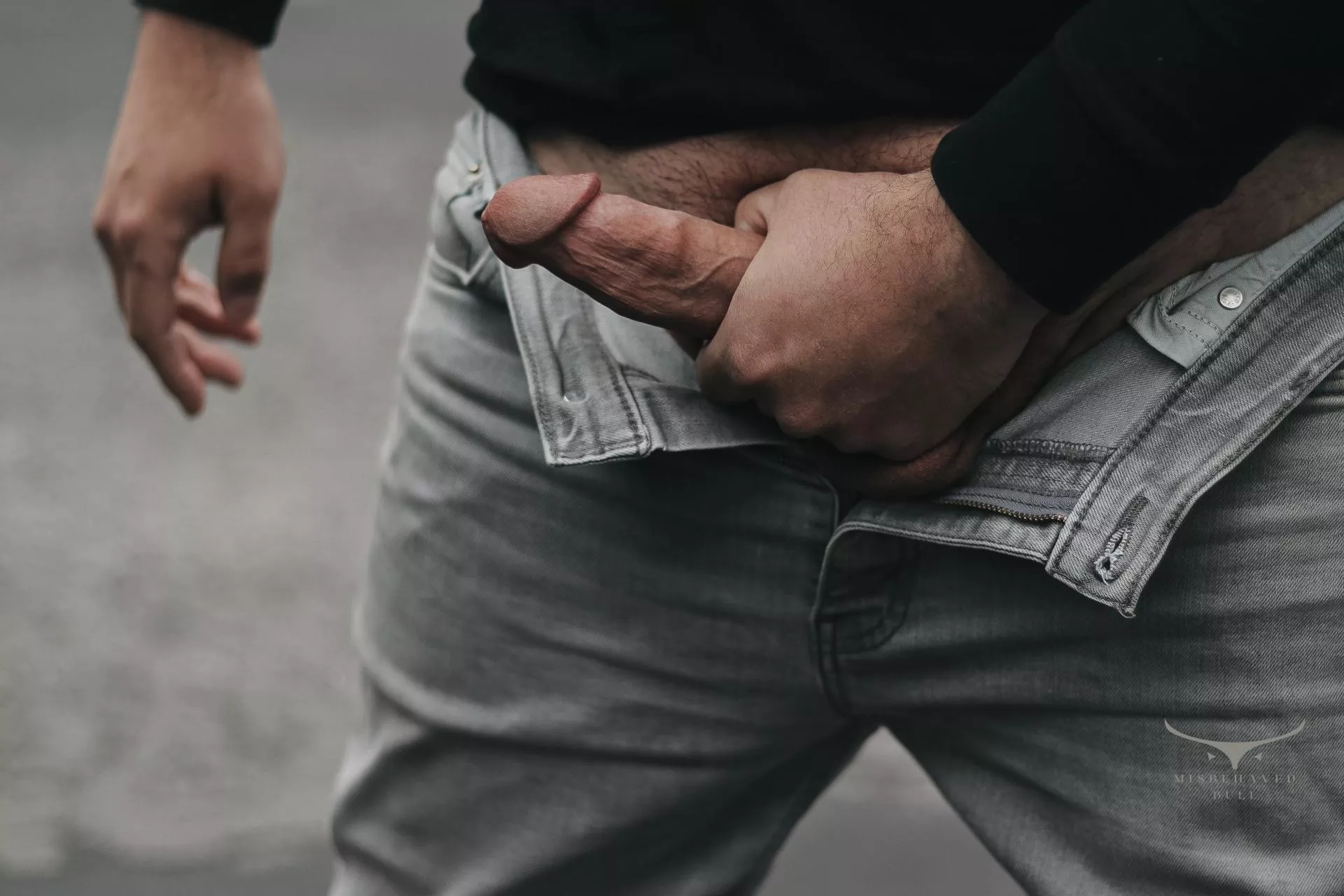 BRISK posted by MISBEHAVEDBULL