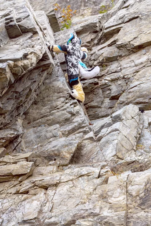 ⛰️🐈 (@ChatahSpots on Twitter) by Dragoniel