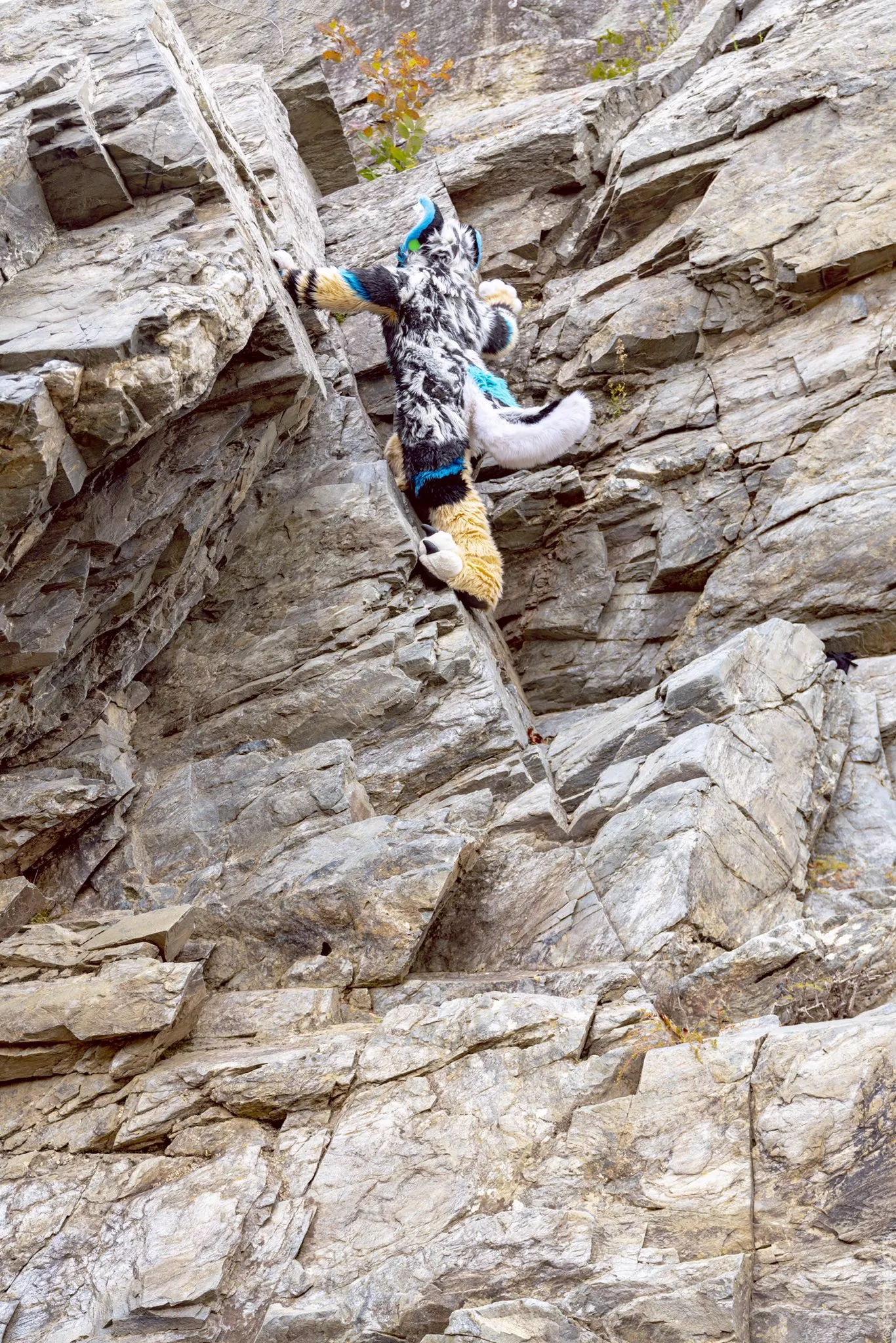 ⛰️🐈 (@ChatahSpots on Twitter) posted by Dragoniel