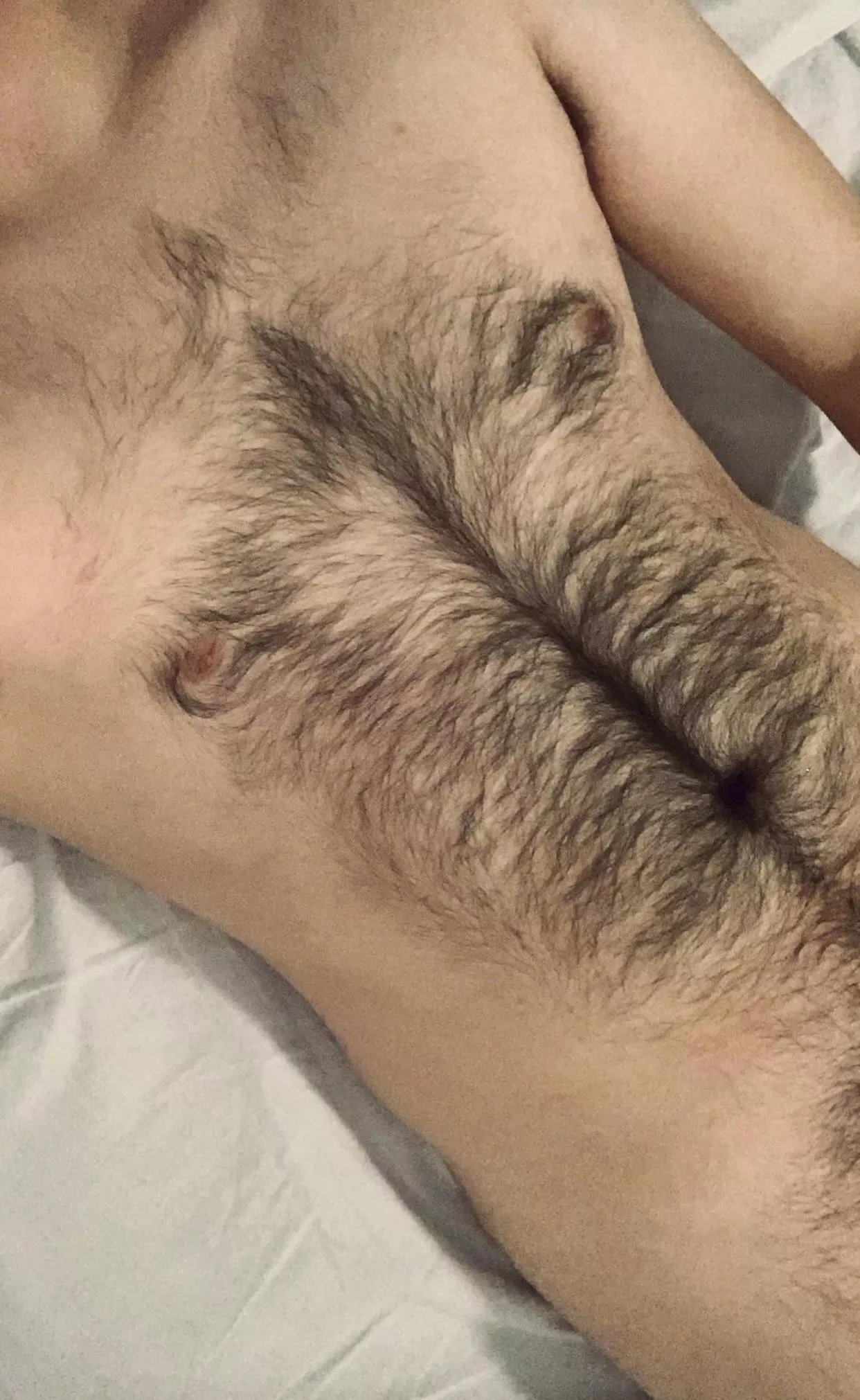 Does this fur look good on my torso and for my age or should I shave? (20) posted by wolfboy997