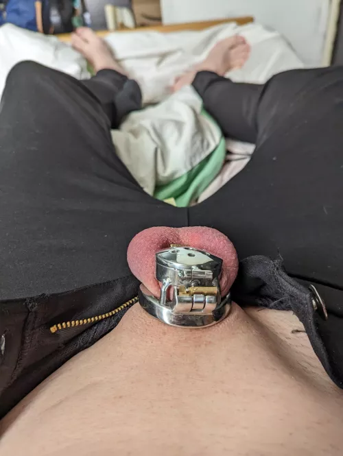 First post here, does it suit me? by XxSissylaurenxX