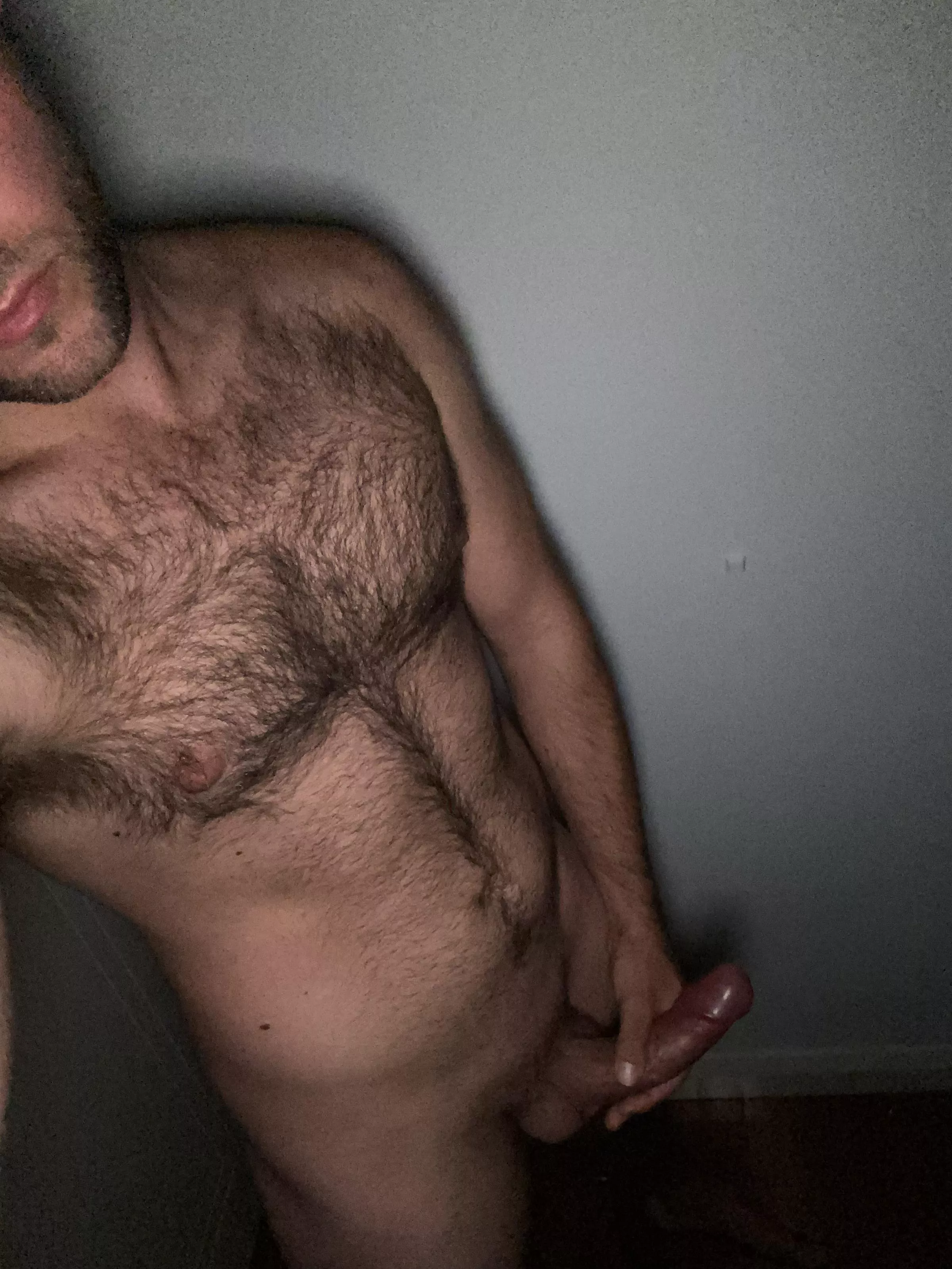 Furry ready for winter 🤔 [21M] posted by EconomicsVast5325