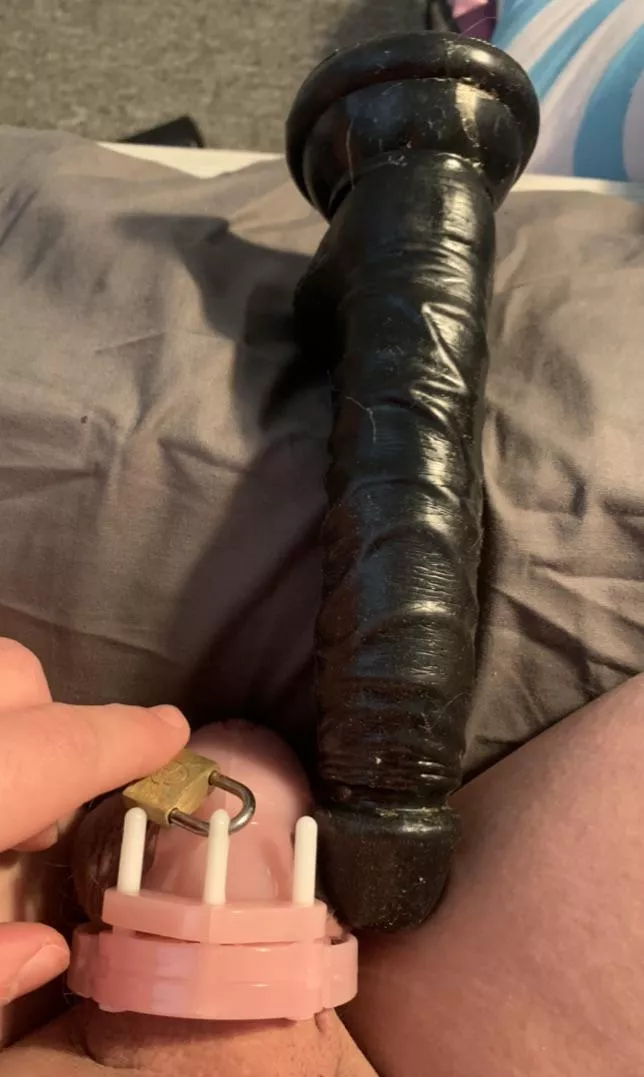 Gonna have some fun posted by Stoner6119