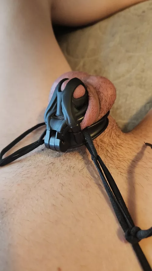 Gonna try and make it to the weekend by larjanc