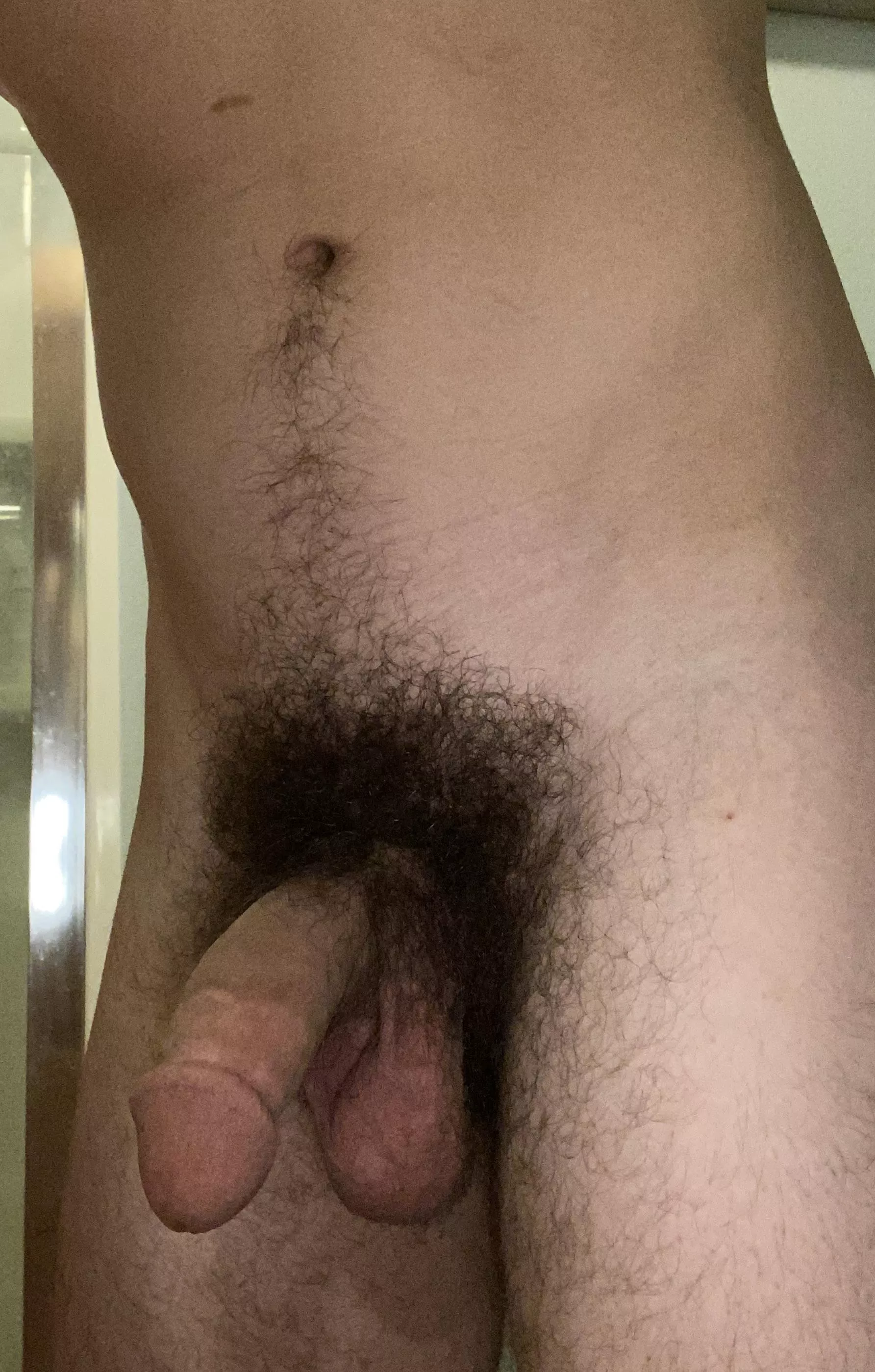 How’s my bush looking? posted by thomsbriefs87