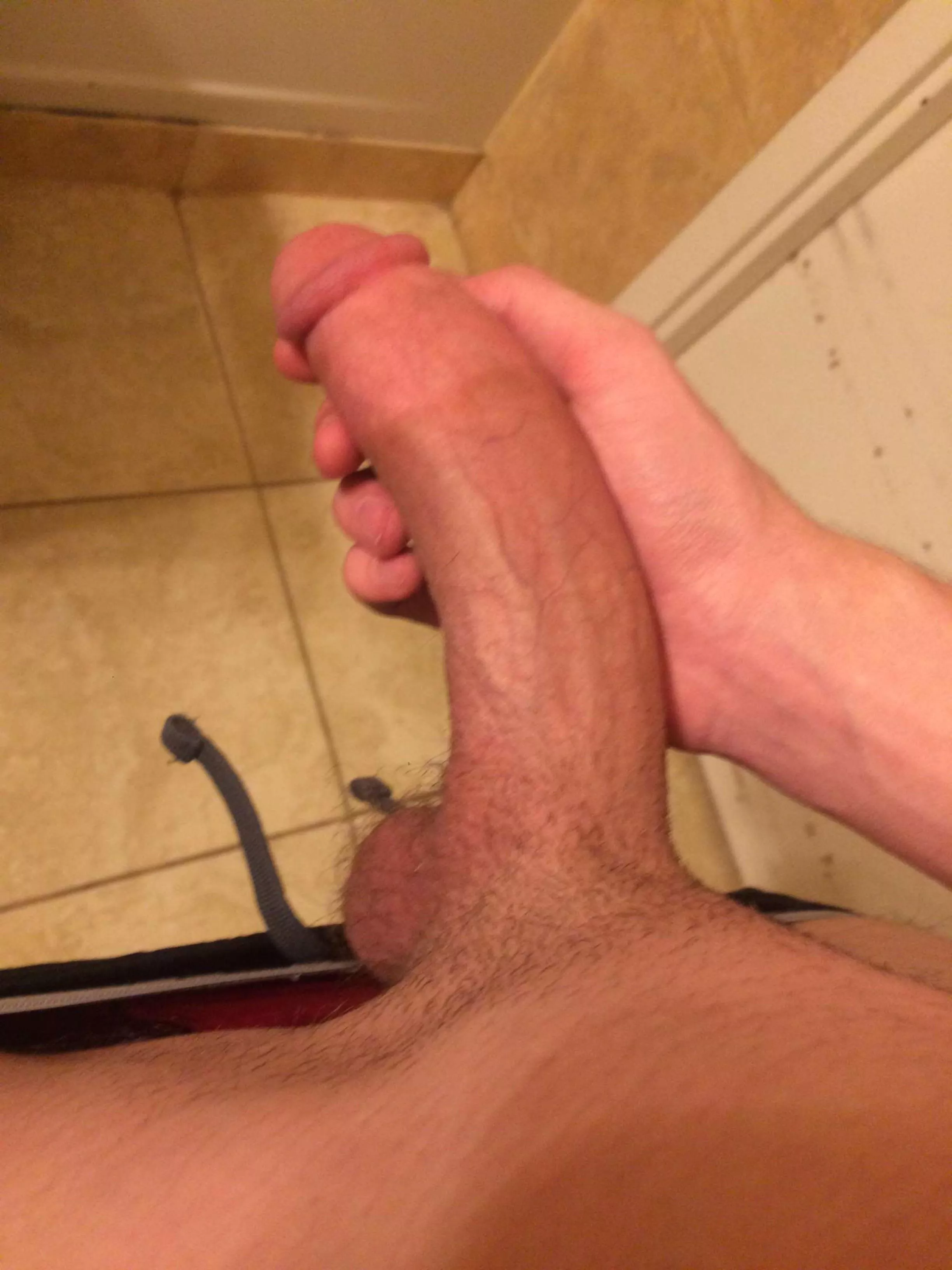 Locked and loaded, ready for breedin 😤 posted by fxkme