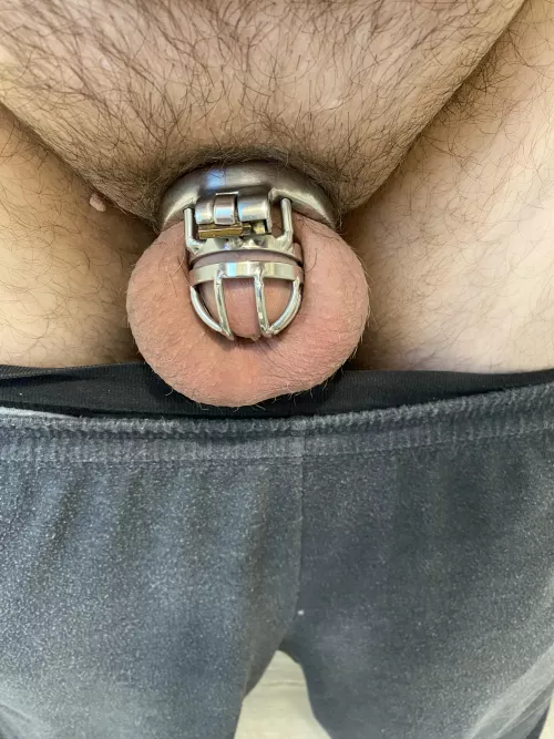 Morning check in by chastitysub1976