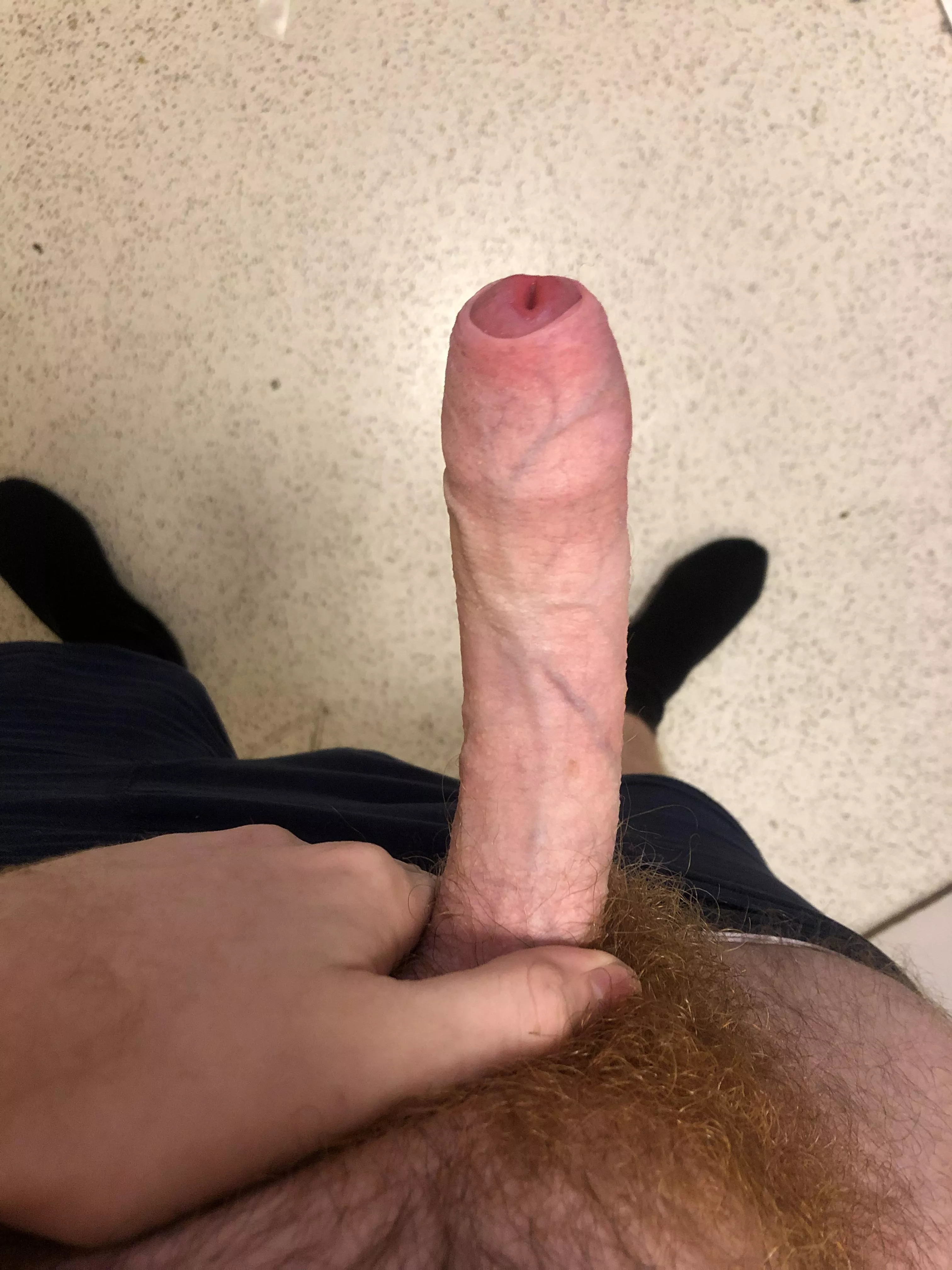 My ginger bush posted by Jayced445