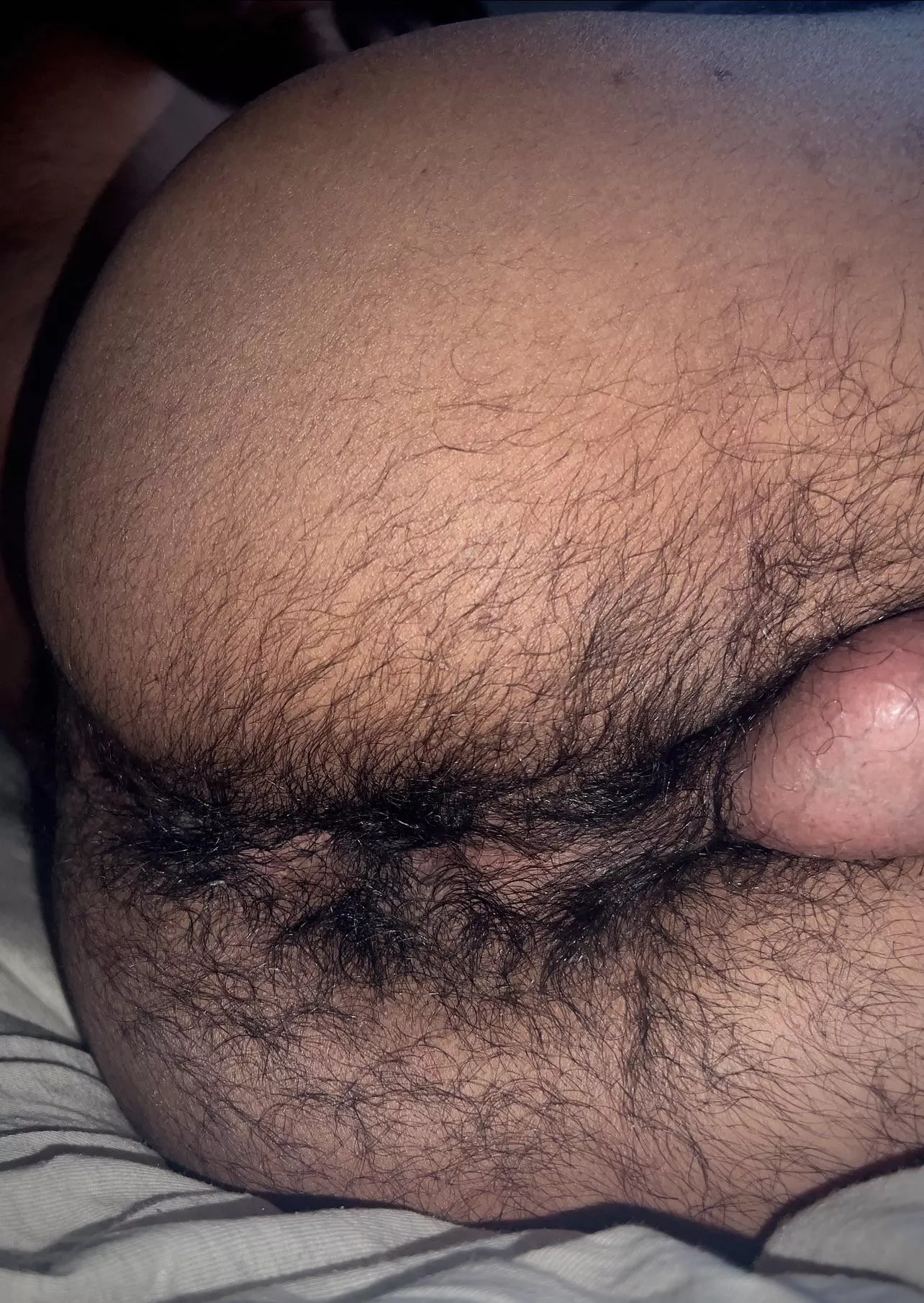 Probably need to manscape.. posted by FurbyBo